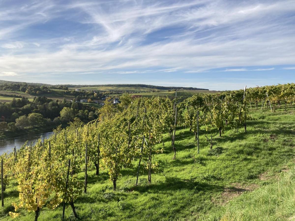 Holiday Apartment Near The Moselle With Terrace Wehr  外观 照片