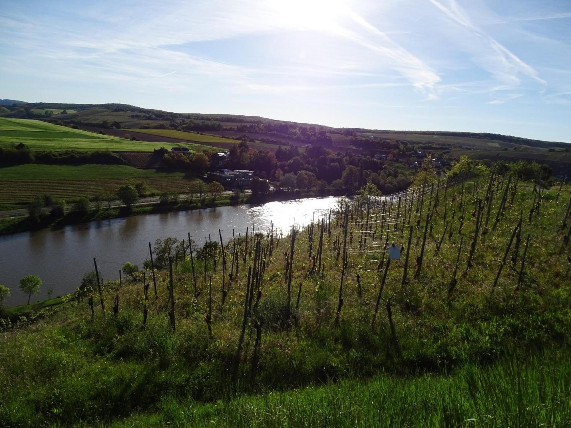 Holiday Apartment Near The Moselle With Terrace Wehr  外观 照片